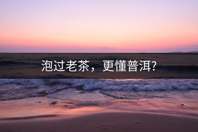 泡過老茶，更懂普洱?