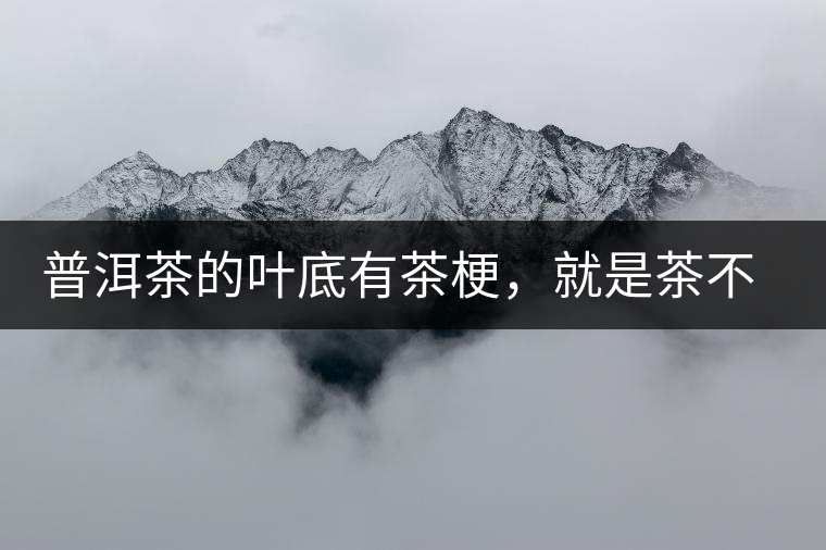 普洱茶的葉底有茶梗，就是茶不好嗎？
