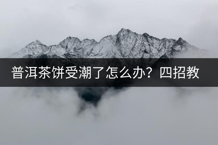 普洱茶餅受潮了怎么辦？四招教你拯救受潮發(fā)霉的茶餅