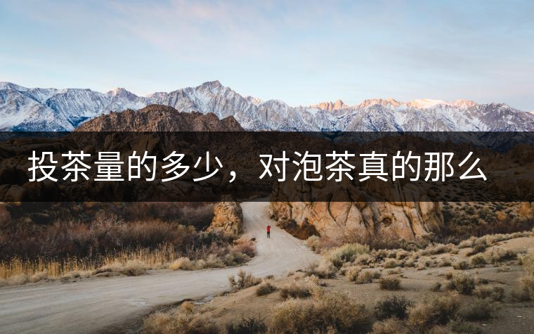 投茶量的多少，對(duì)泡茶真的那么重要嗎？