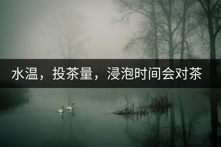 水溫，投茶量，浸泡時(shí)間會(huì)對(duì)茶湯產(chǎn)生什么影響？