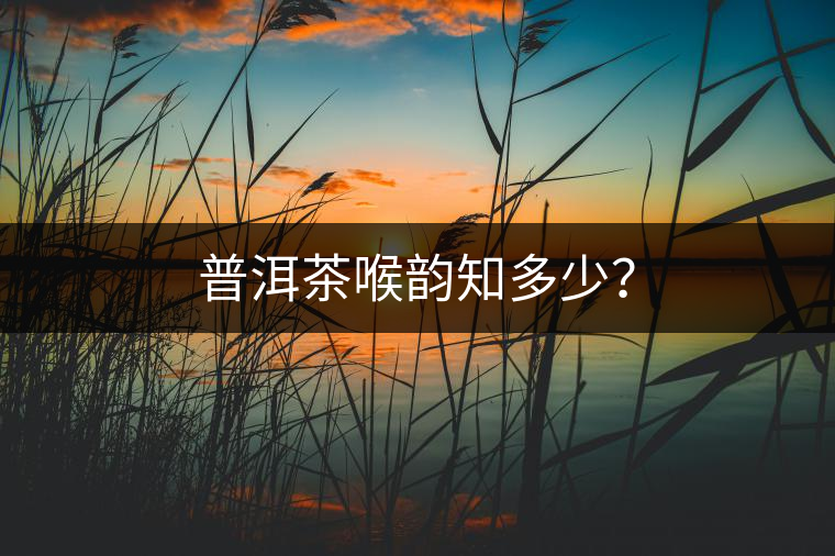 普洱茶喉韻知多少？