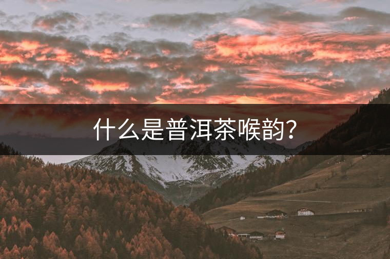 什么是普洱茶喉韻？