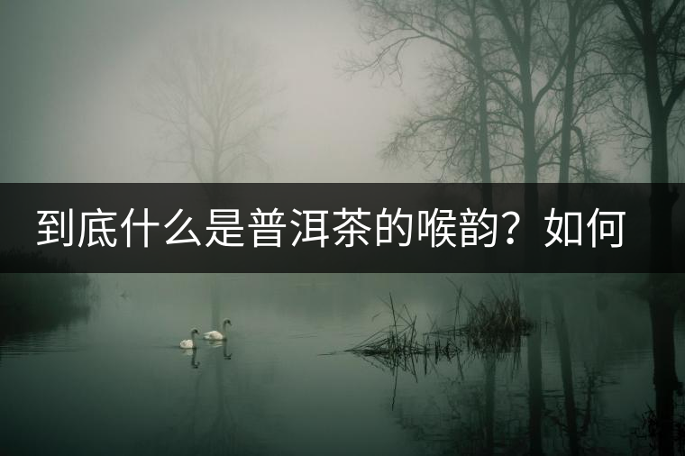 到底什么是普洱茶的喉韻？如何感受？