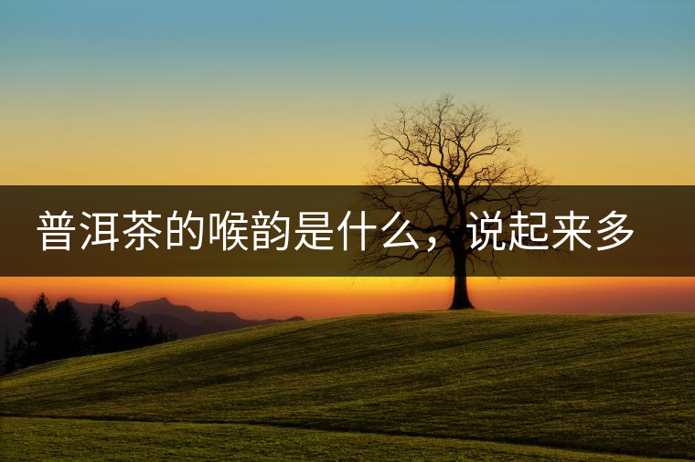 普洱茶的喉韻是什么，說起來多少有點玄乎