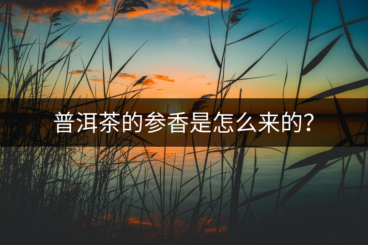 普洱茶的參香是怎么來(lái)的？