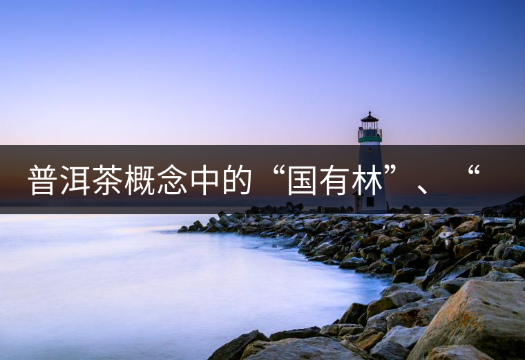 普洱茶概念中的“國有林”、“高桿古樹”是怎么樣的存在？