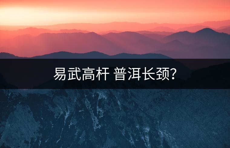 易武高桿 普洱長頸？