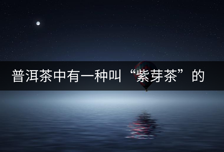 普洱茶中有一種叫“紫芽茶”的是怎么回事？