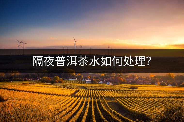 隔夜普洱茶水如何處理？