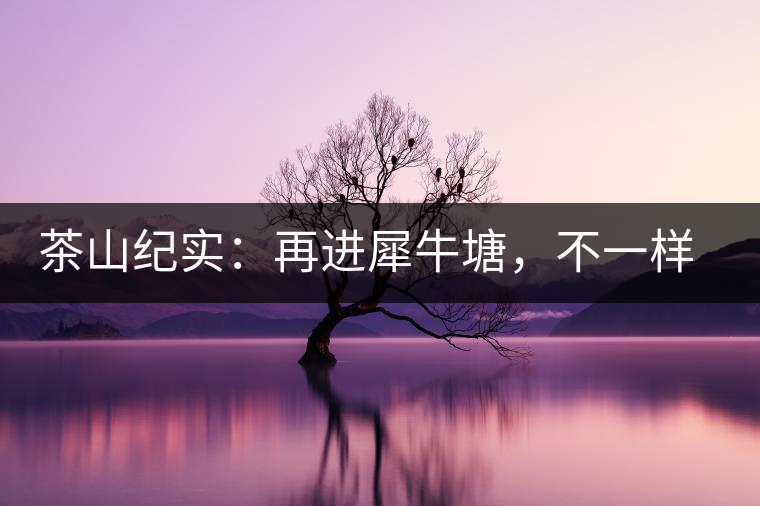 茶山紀實：再進犀牛塘，不一樣的感覺；菁瑤可以預(yù)見的豐收年