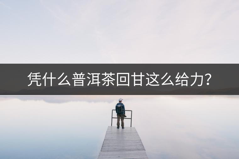 憑什么普洱茶回甘這么給力？