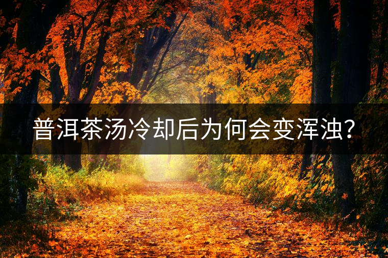 普洱茶湯冷卻后為何會變渾濁？