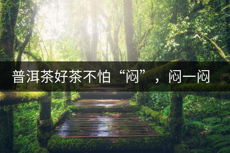 普洱茶好茶不怕“悶”，悶一悶看本味
