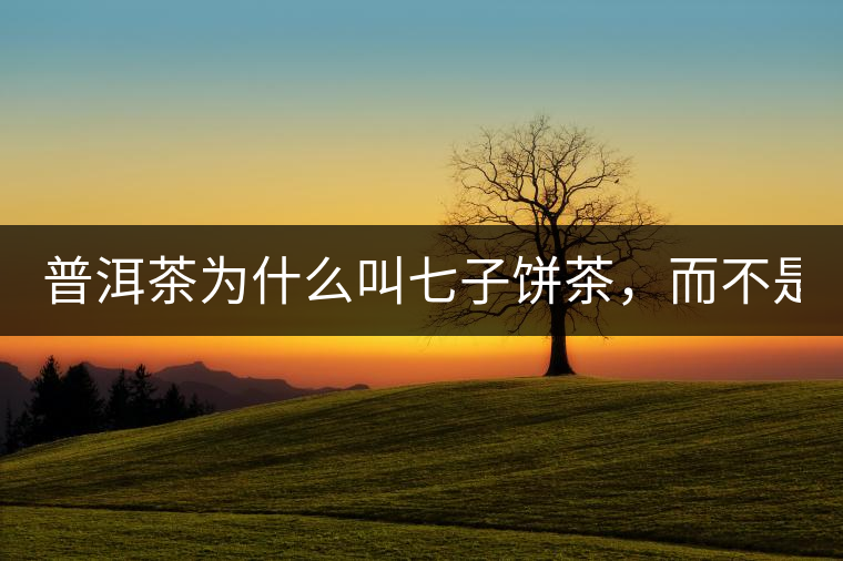 普洱茶為什么叫七子餅茶，而不是六子餅、八子餅......？