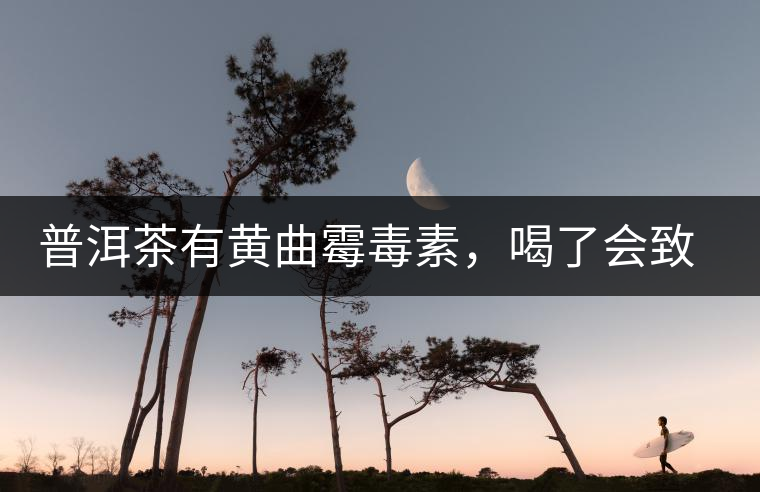 普洱茶有黃曲霉毒素，喝了會(huì)致癌？不黑不吹，咱用事實(shí)說話