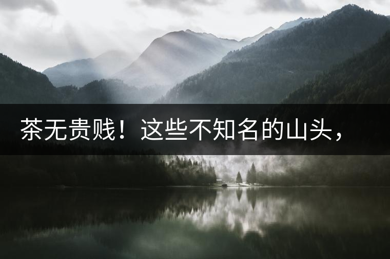 茶無(wú)貴賤！這些不知名的山頭，其實(shí)也產(chǎn)優(yōu)質(zhì)普洱茶！