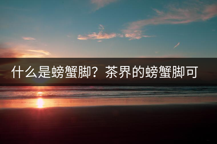 什么是螃蟹腳？茶界的螃蟹腳可能和你想的不一樣！