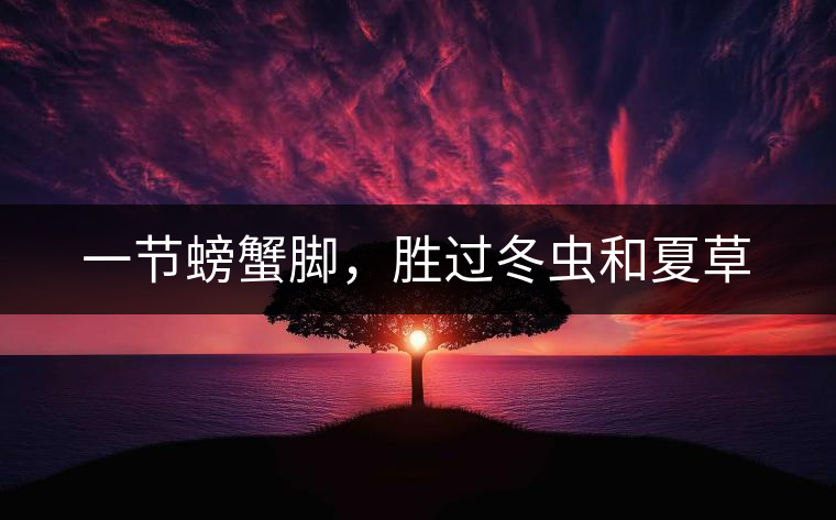 一節(jié)螃蟹腳，勝過冬蟲和夏草