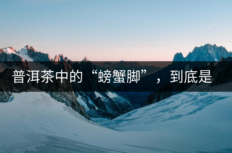 普洱茶中的“螃蟹腳”，到底是什么？如何辨別？