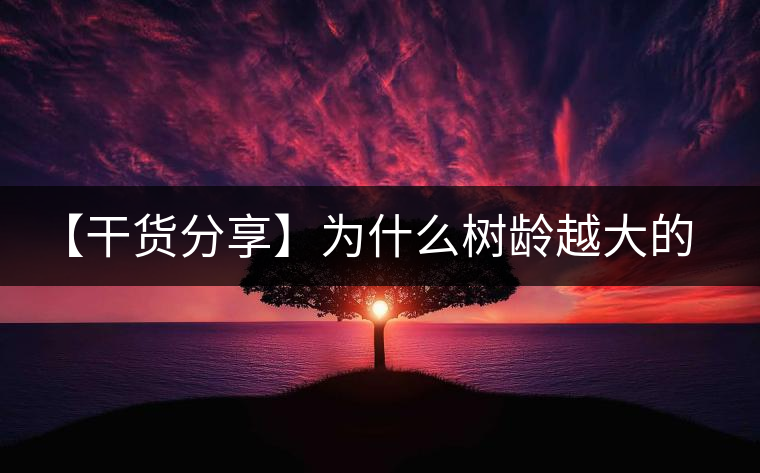 【干貨分享】為什么樹齡越大的普洱生茶，苦味越容易化掉？