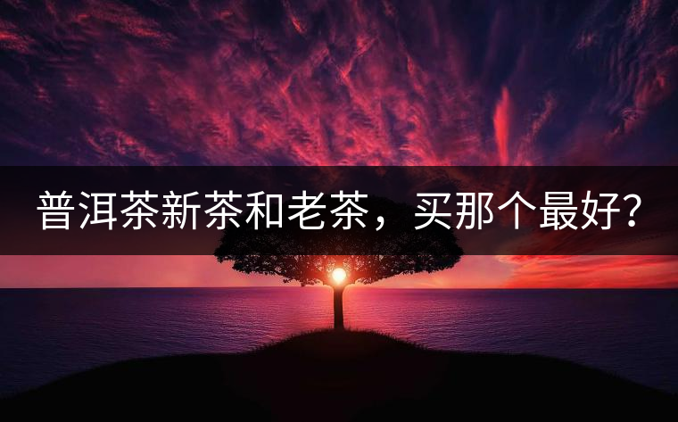 普洱茶新茶和老茶，買那個(gè)最好？