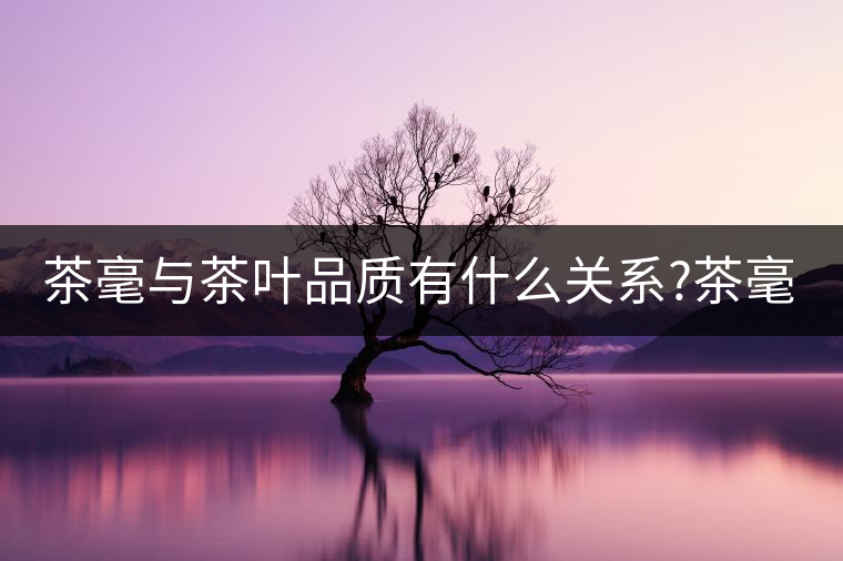 茶毫與茶葉品質(zhì)有什么關(guān)系?茶毫能決定品質(zhì)嗎?