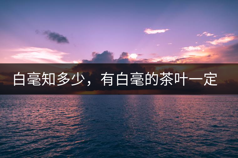 白毫知多少，有白毫的茶葉一定好嗎？
