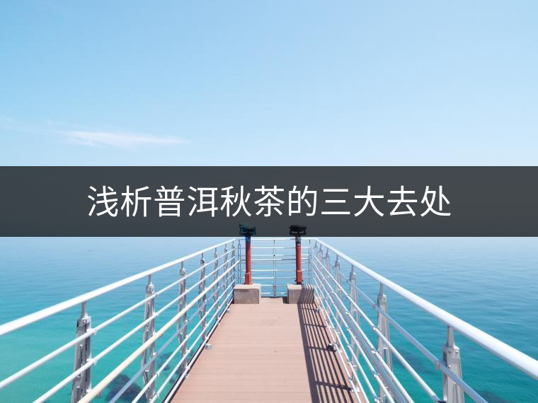 淺析普洱秋茶的三大去處