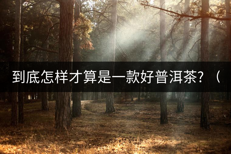 到底怎樣才算是一款好普洱茶? （深度好文）