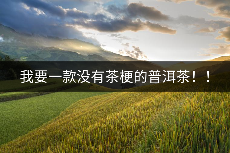 我要一款沒有茶梗的普洱茶！！