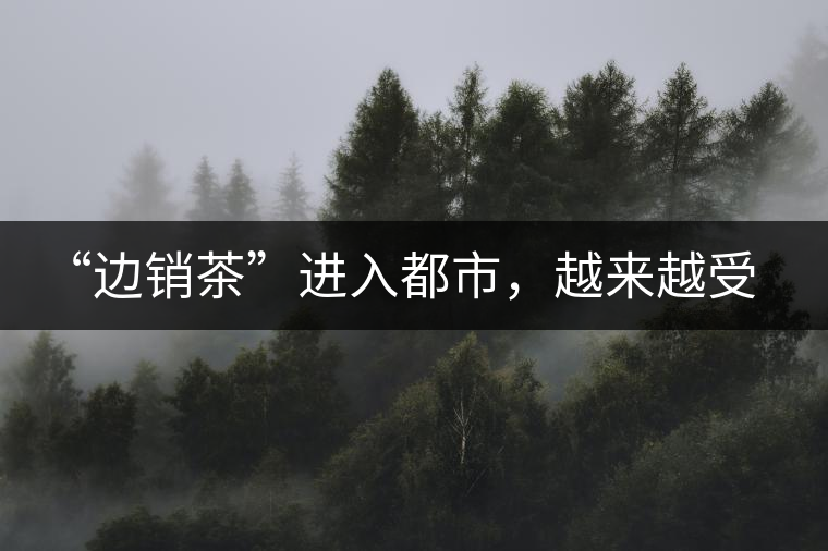 “邊銷茶”進(jìn)入都市，越來越受人們青睞