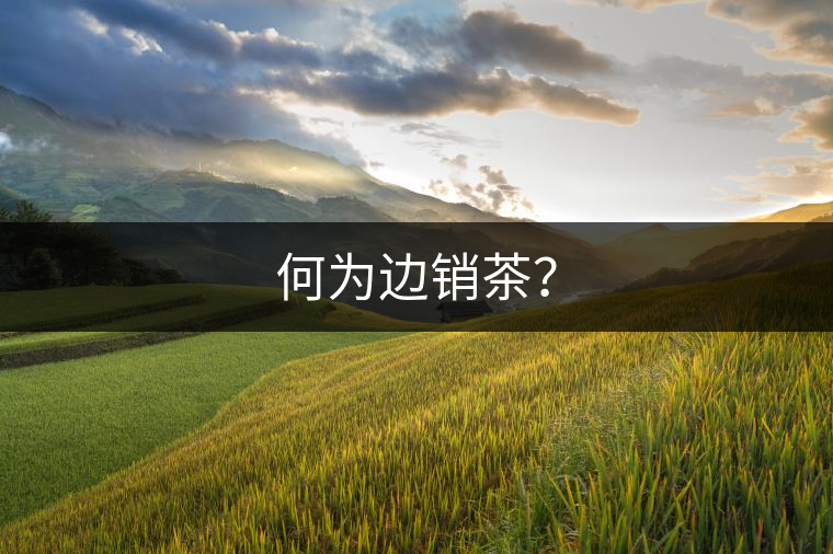 何為邊銷茶？
