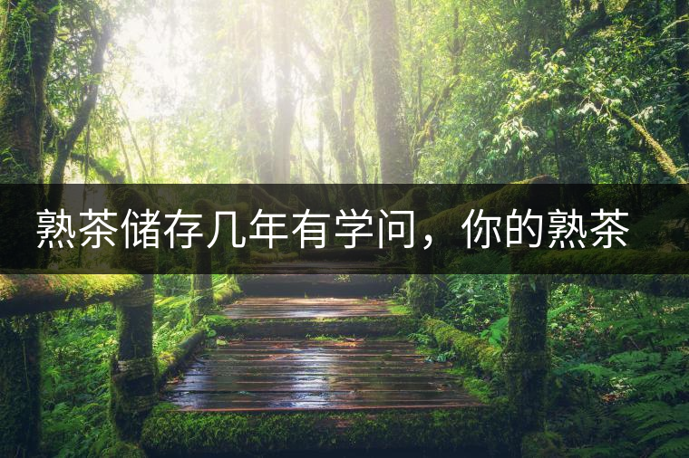 熟茶儲存幾年有學問，你的熟茶存幾年？