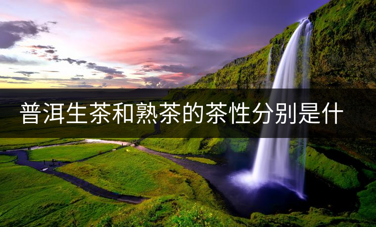普洱生茶和熟茶的茶性分別是什么？涼性還是熱性？