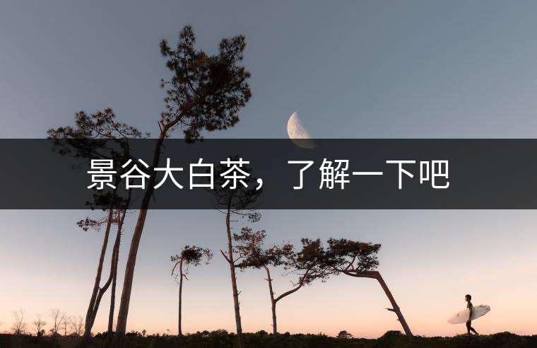 景谷大白茶，了解一下吧