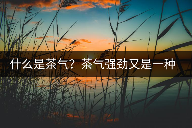 什么是茶氣？茶氣強(qiáng)勁又是一種怎樣的體驗？