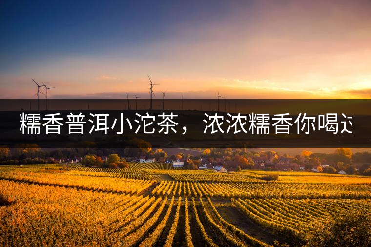 糯香普洱小沱茶，濃濃糯香你喝過(guò)嗎？