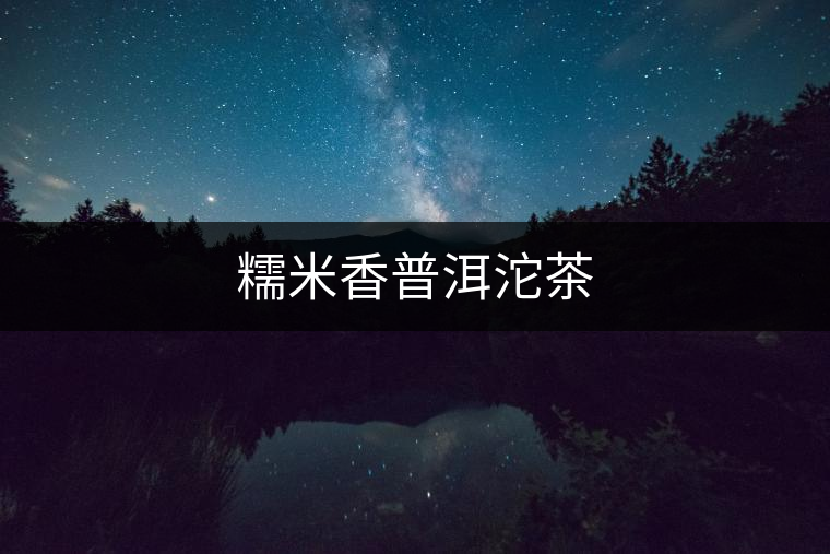 糯米香普洱沱茶