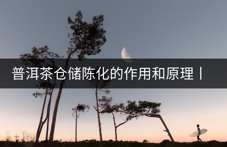 普洱茶倉儲陳化的作用和原理丨百科