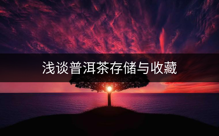 淺談普洱茶存儲與收藏 淺談普洱茶存儲與收藏