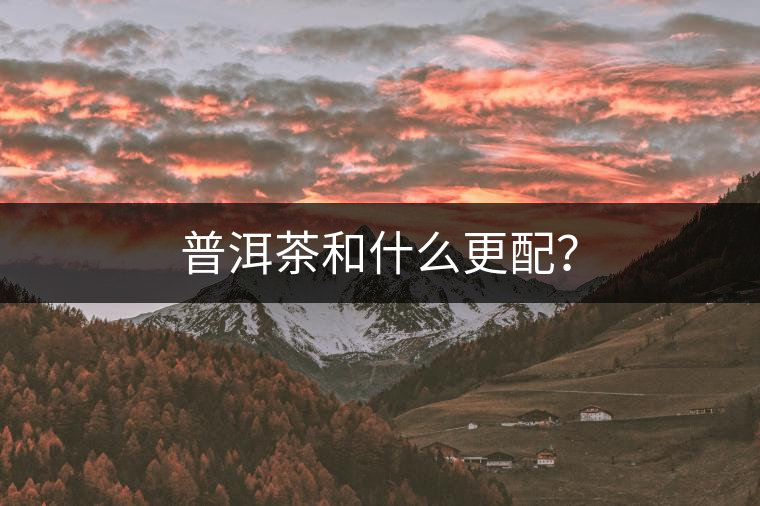 普洱茶和什么更配？