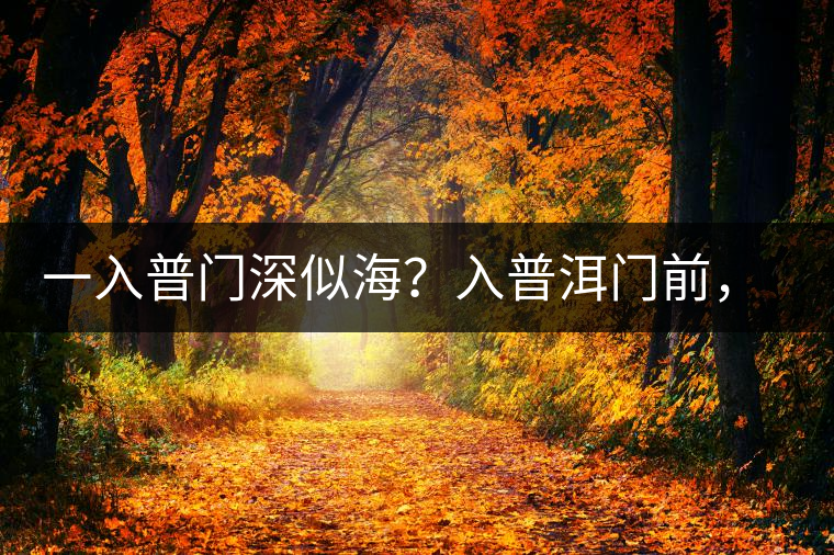 一入普門深似海？入普洱門前，你需要了解這些