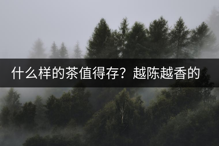 什么樣的茶值得存？越陳越香的本質(zhì)是什么？