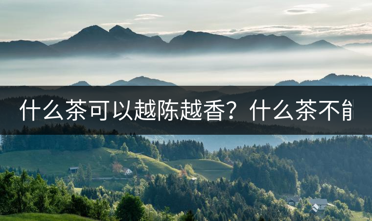 什么茶可以越陳越香？什么茶不能？