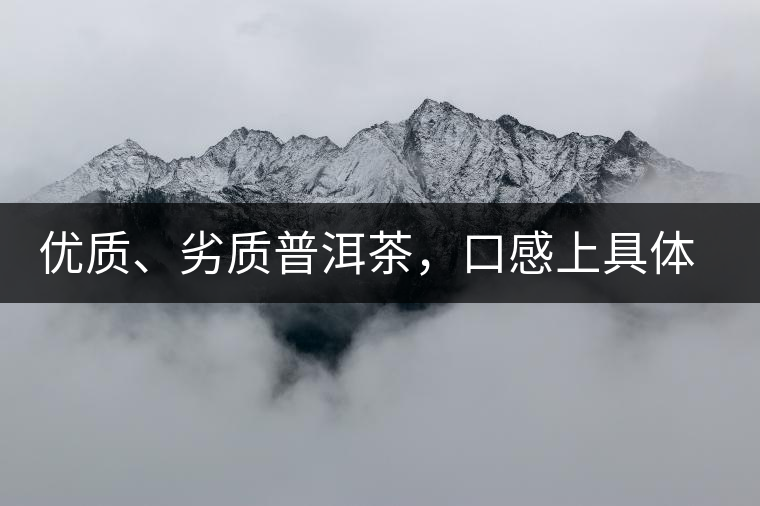 優(yōu)質(zhì)、劣質(zhì)普洱茶，口感上具體有哪些特征？