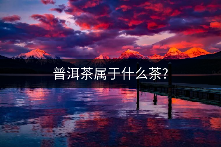 普洱茶屬于什么茶?