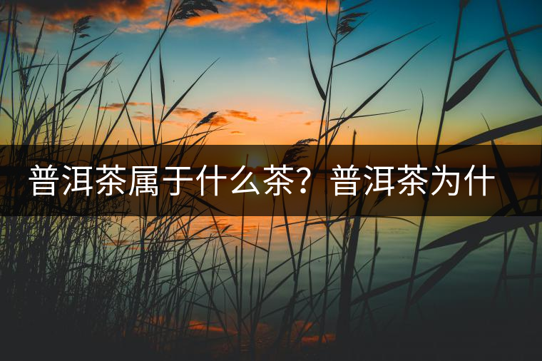 普洱茶屬于什么茶？普洱茶為什么會(huì)越陳越香？