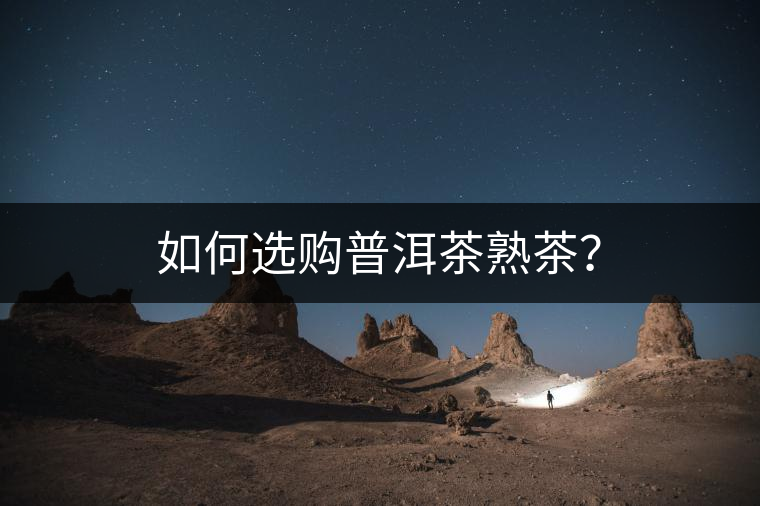 如何選購普洱茶熟茶？