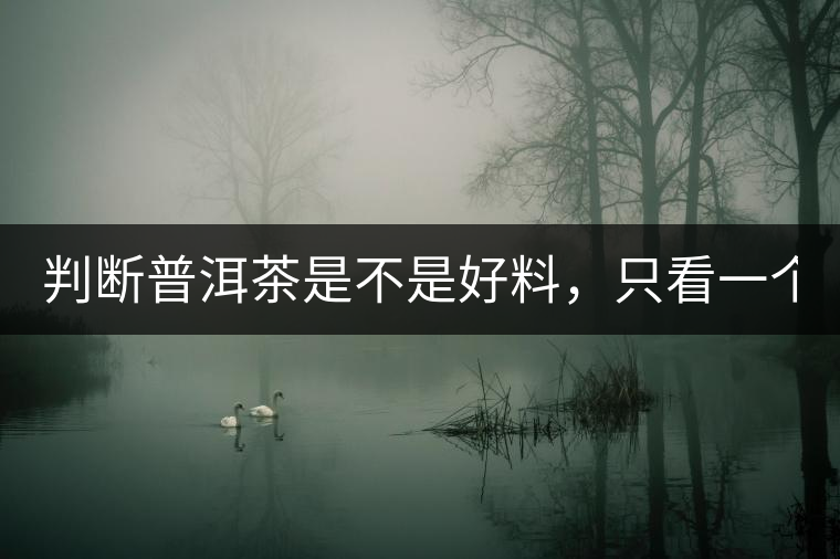 判斷普洱茶是不是好料，只看一個(gè)地方！